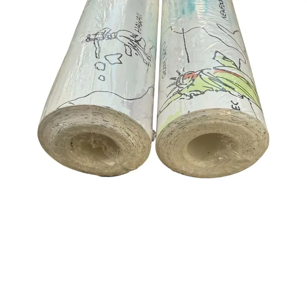 Carey Lind Wallpaper Map Travel Coastal City Style KD0342 One Roll NEW 11 yrds